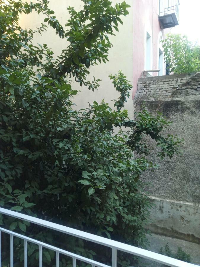 New Apartment With A Separate Entrance Near The Subway. アテネ エクステリア 写真